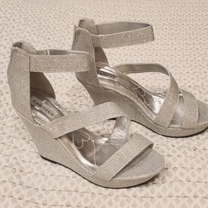 Silver wedges